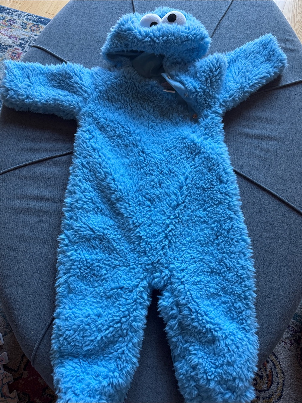 Pottery Barn Kids Cookie Monster Costume